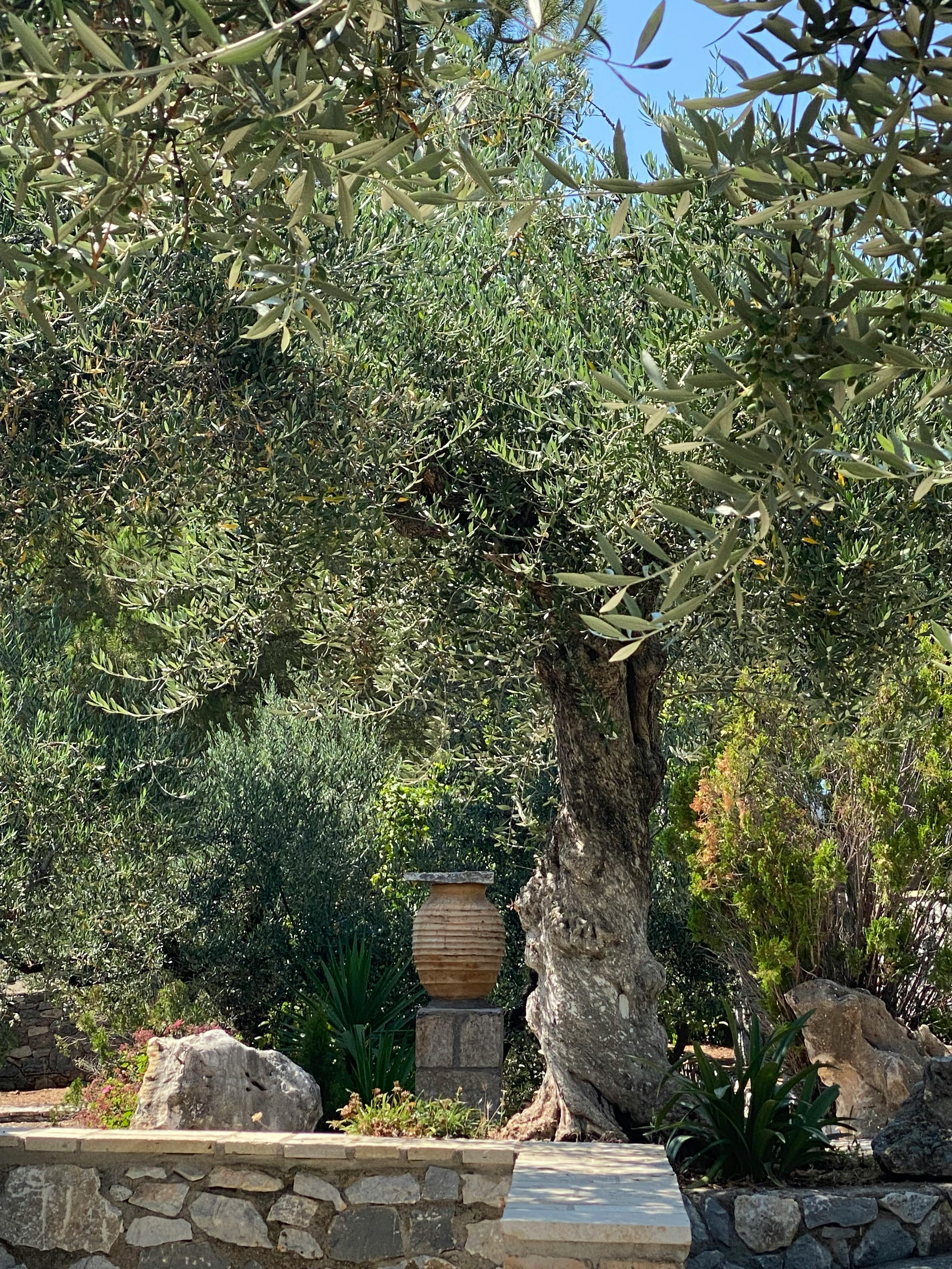 Jardín mediterráneo en Toledo